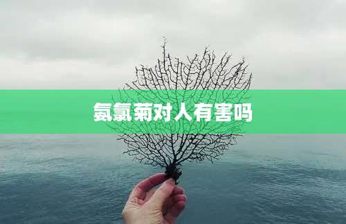 氨氯菊对人有害吗