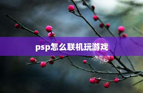 psp怎么联机玩游戏