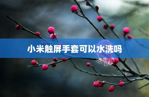 小米触屏手套可以水洗吗