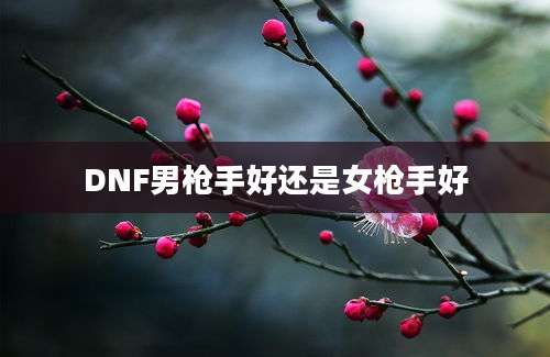 DNF男枪手好还是女枪手好