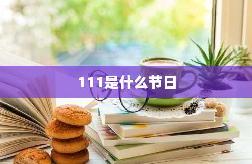 111是什么节日