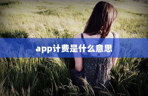 app计费是什么意思