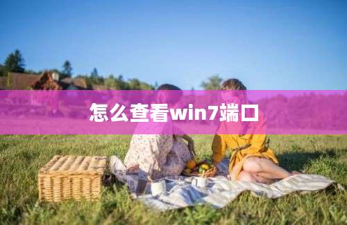 怎么查看win7端口