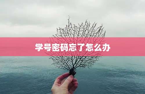 学号密码忘了怎么办