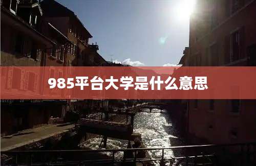 985平台大学是什么意思