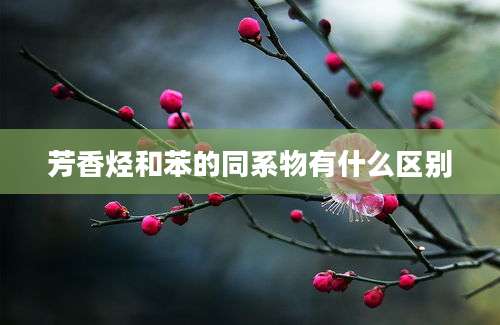 芳香烃和苯的同系物有什么区别