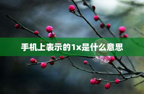 手机上表示的1x是什么意思