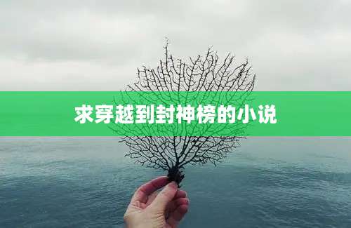 求穿越到封神榜的小说