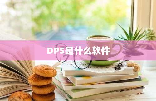 DPS是什么软件