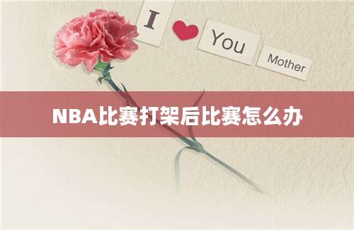 NBA比赛打架后比赛怎么办