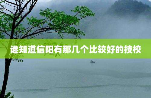 谁知道信阳有那几个比较好的技校