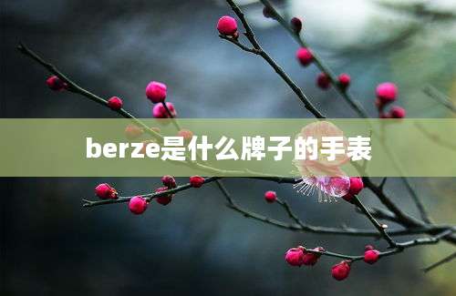 berze是什么牌子的手表