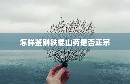 怎样鉴别铁棍山药是否正宗