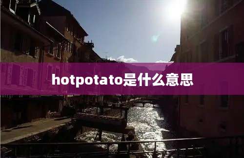 hotpotato是什么意思