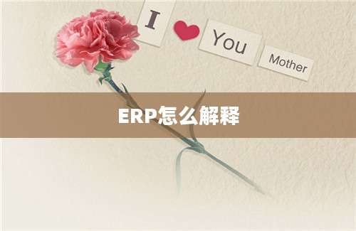 ERP怎么解释