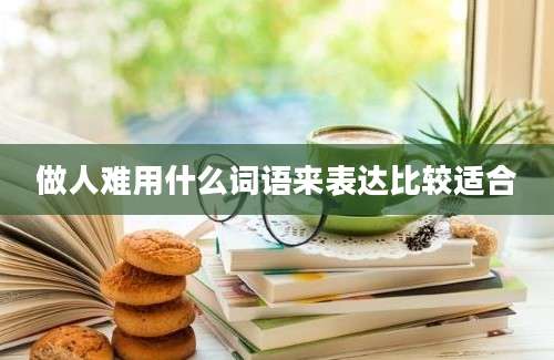 做人难用什么词语来表达比较适合