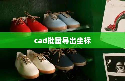 cad批量导出坐标