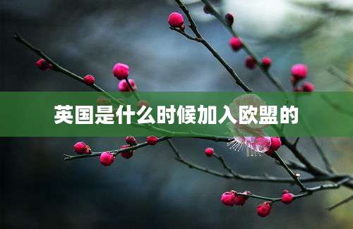 英国是什么时候加入欧盟的