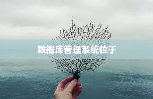 数据库管理系统位于