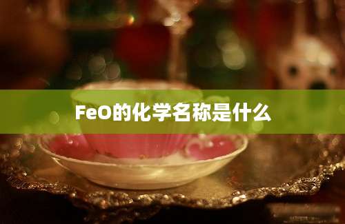 FeO的化学名称是什么