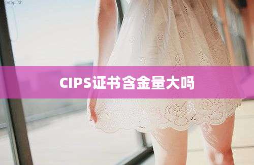 CIPS证书含金量大吗