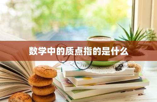 数学中的质点指的是什么