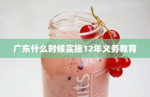 广东什么时候实施12年义务教育