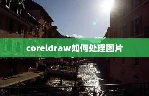 coreldraw如何处理图片