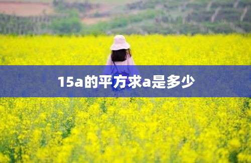 15a的平方求a是多少