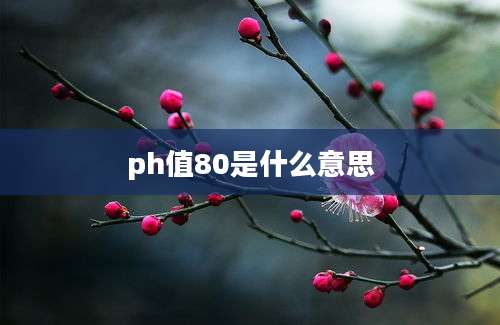 ph值80是什么意思