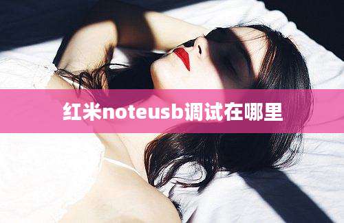 红米noteusb调试在哪里