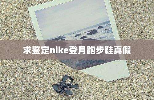 求鉴定nike登月跑步鞋真假