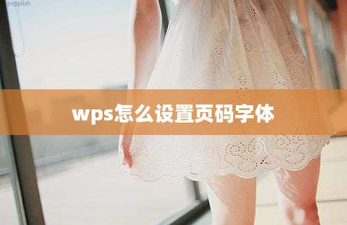 wps怎么设置页码字体