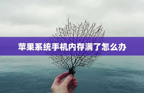 苹果系统手机内存满了怎么办