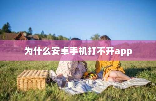 为什么安卓手机打不开app