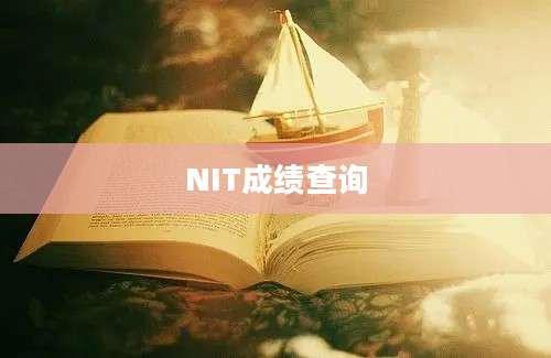 NIT成绩查询