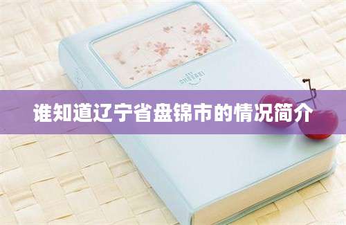 谁知道辽宁省盘锦市的情况简介