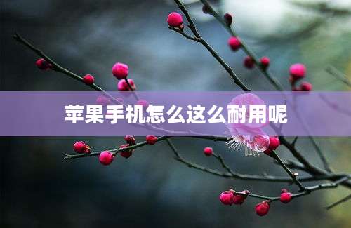 苹果手机怎么这么耐用呢