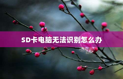 SD卡电脑无法识别怎么办