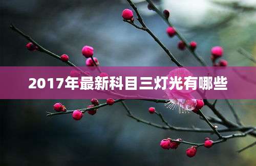 2017年最新科目三灯光有哪些