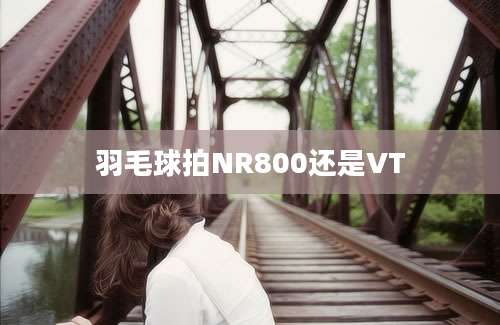 羽毛球拍NR800还是VT