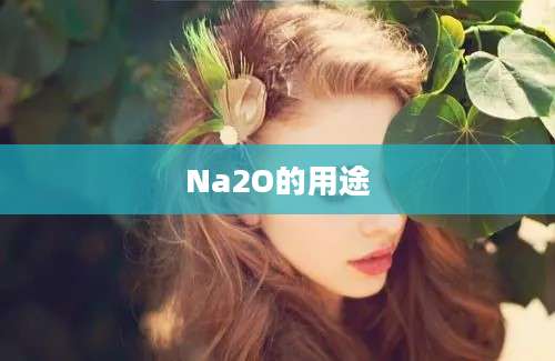 Na2O的用途