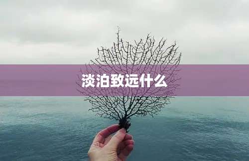 淡泊致远什么