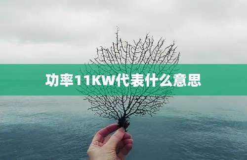 功率11KW代表什么意思