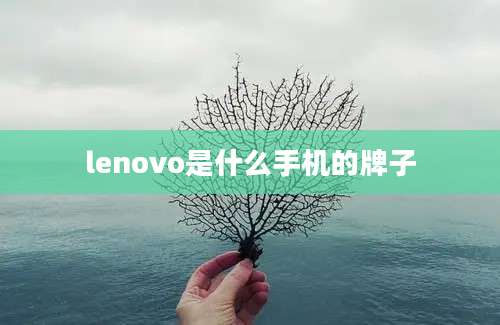 lenovo是什么手机的牌子