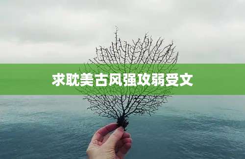 求耽美古风强攻弱受文