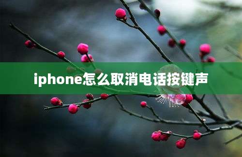 iphone怎么取消电话按键声