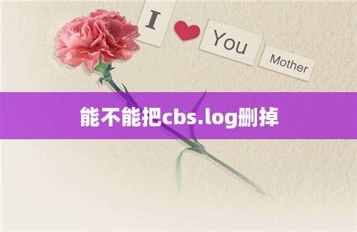 能不能把cbs.log删掉