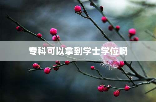 专科可以拿到学士学位吗