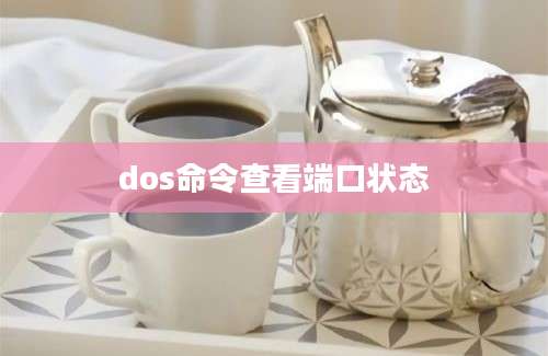 dos命令查看端口状态